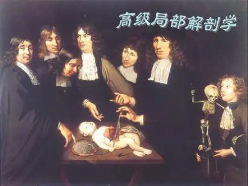 局部解剖学(复旦大学)
