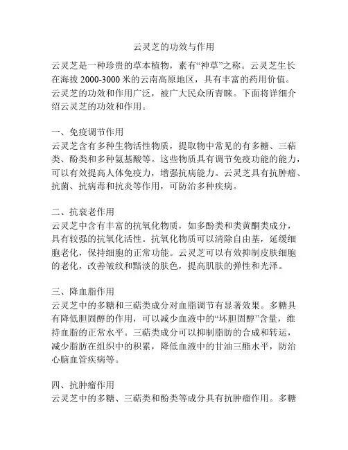 云灵芝的功效与作用