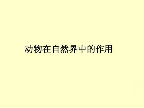 动物在自然界中的作用