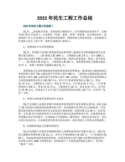 民生工程工作总结