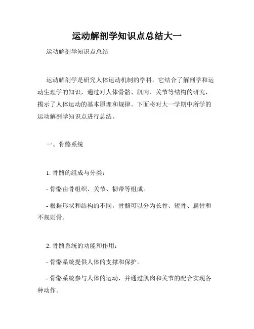 运动解剖学知识点总结大一