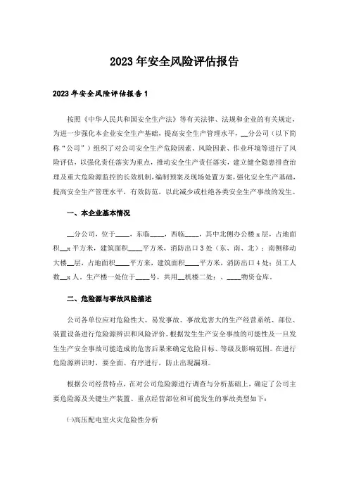 2023年安全风险评估报告