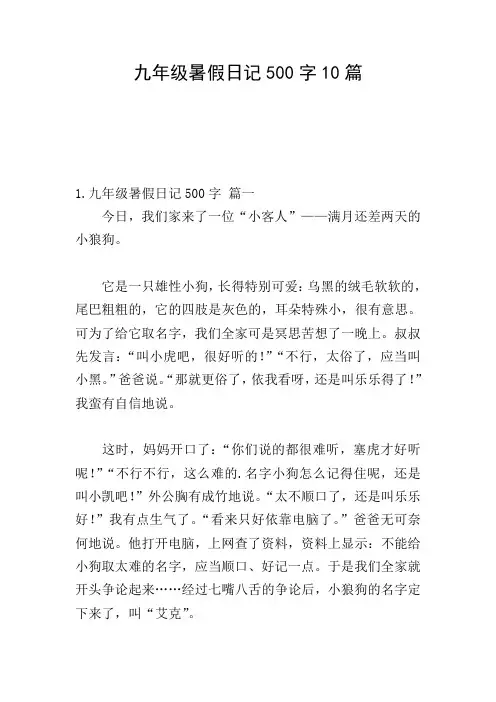 九年级暑假日记500字10篇