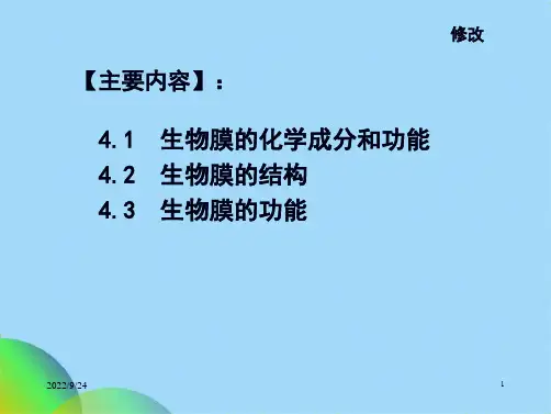 生物膜(共37张PPT)