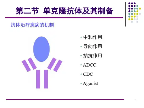 抗体制药paPPT课件