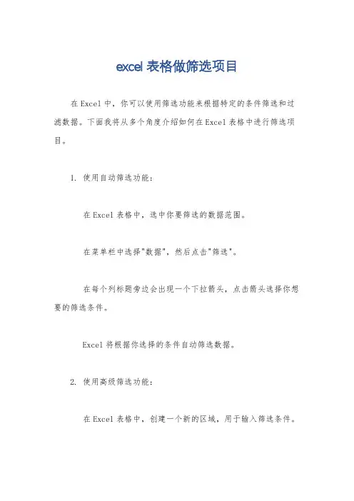 excel表格做筛选项目