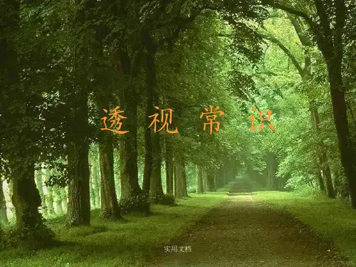 初中美术：《透视原理》