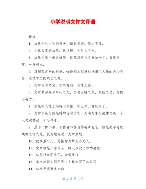 小学说明文作文评语