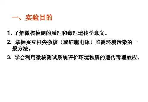 遗传毒性评价