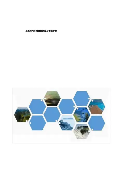 上海大气环境健康风险及治理对策