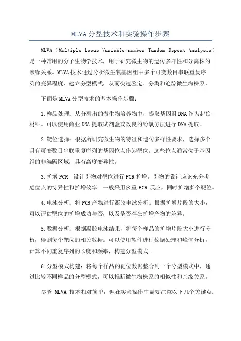 MLVA分型技术和实验操作步骤