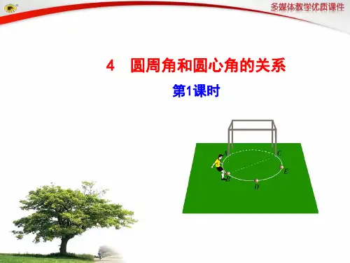圆心角与圆周角关系讲课稿