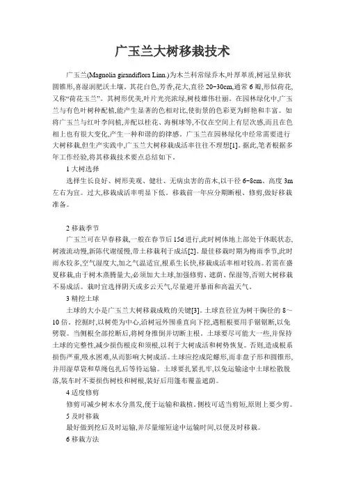 广玉兰大树移栽技术