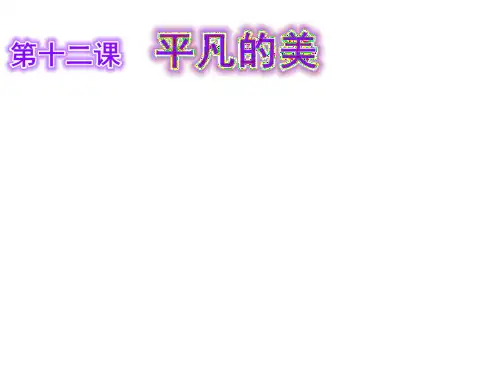 小学四年级美术下册 第12课《平凡的美》名师公开课省级获奖课件1 人教版