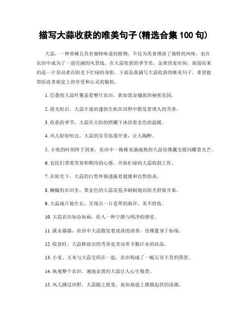 描写大蒜收获的唯美句子(精选合集100句)