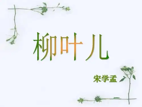《柳叶儿》课件