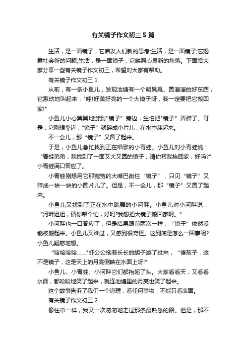 有关镜子作文初三5篇
