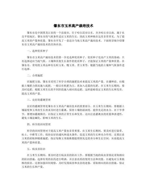 肇东市玉米高产栽培技术