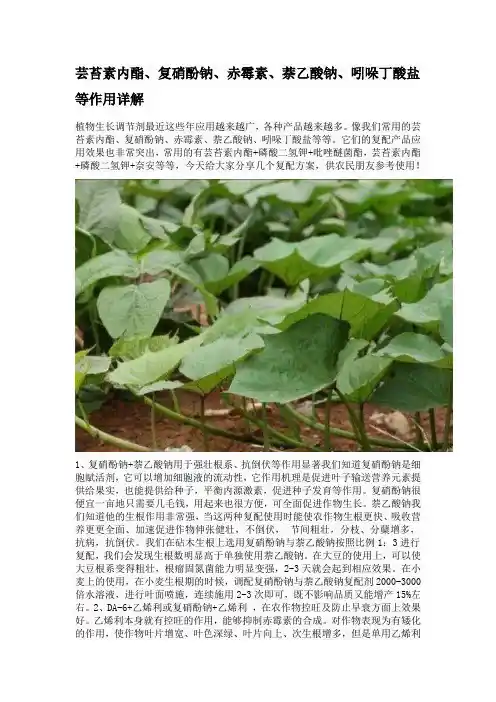 芸苔素内酯、复硝酚钠、赤霉素、萘乙酸钠、吲哚丁酸盐等作用详解