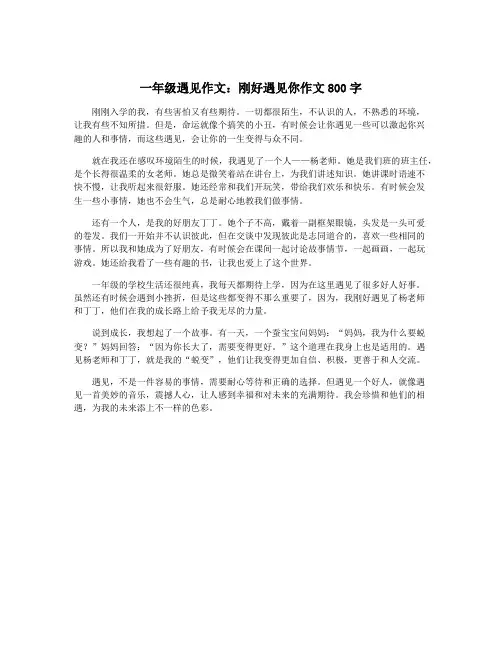一年级遇见作文：刚好遇见你作文800字