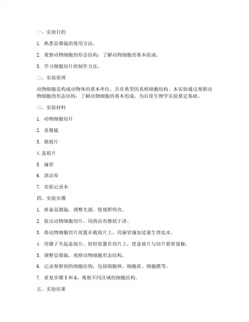 观察动物细胞实验报告
