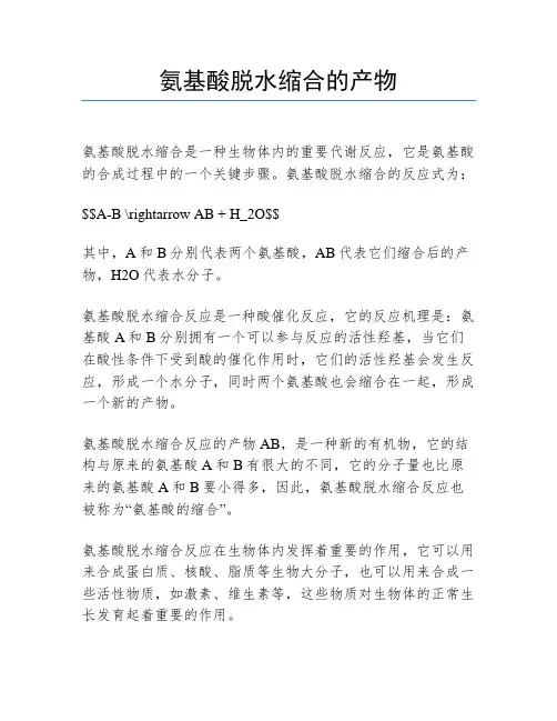 氨基酸脱水缩合的产物