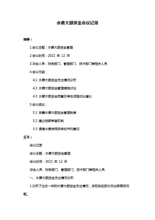 水费大额资金会议记录