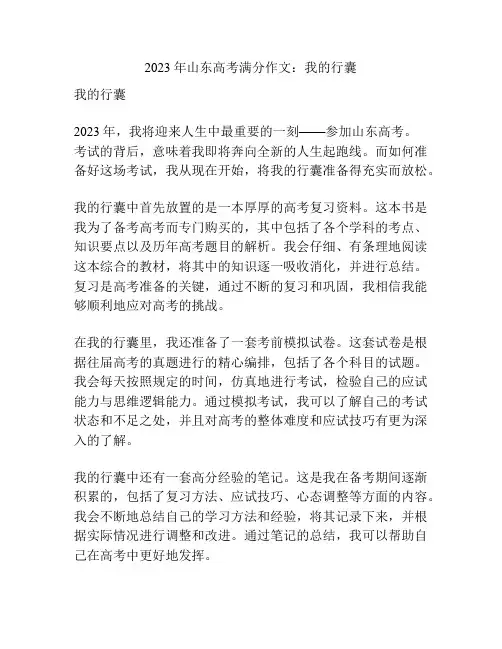 2023年山东高考满分作文：我的行囊