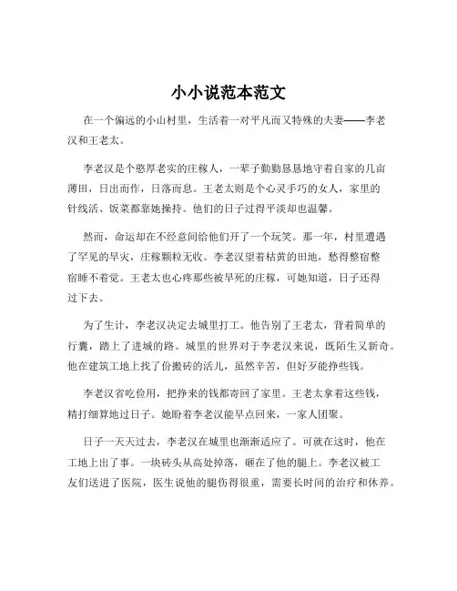 小小说范本范文