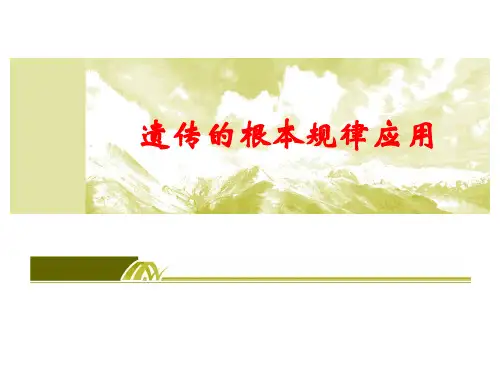 高中生物遗传的基本规律 优秀课件1