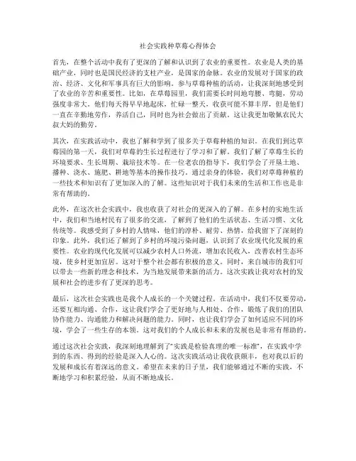 社会实践种草莓心得体会