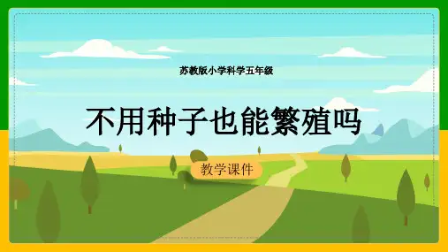 小学科学苏教版五年级全册《31不用种子也能繁殖吗》课件