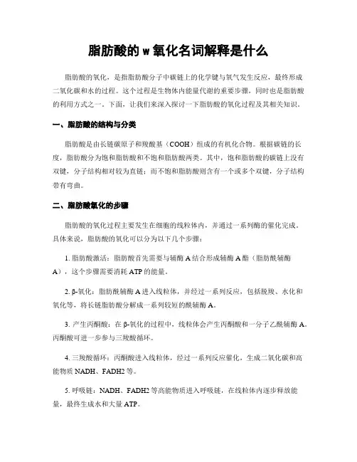 脂肪酸的w氧化名词解释是什么