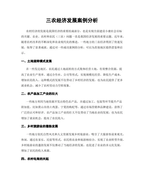 三农经济发展案例分析
