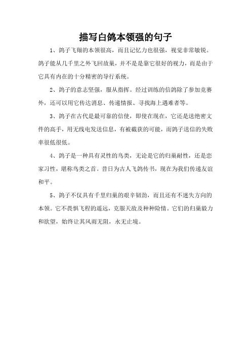 描写白鸽本领强的句子