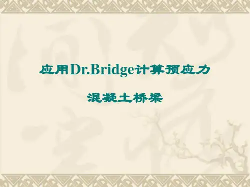 【桥梁博士学习资料】应用Dr.Bridge计算预应力混凝土桥梁