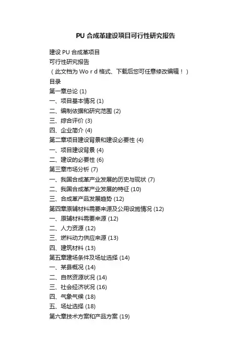 PU合成革建设项目可行性研究报告