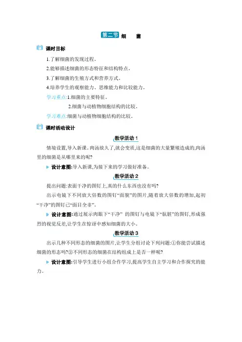 2024年人教版七年级生物上册第三章教学设计2. 第二节 细菌