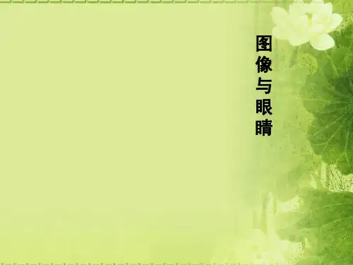 湘美版高一美术 鉴赏 第2课-图像与眼睛(共30页)