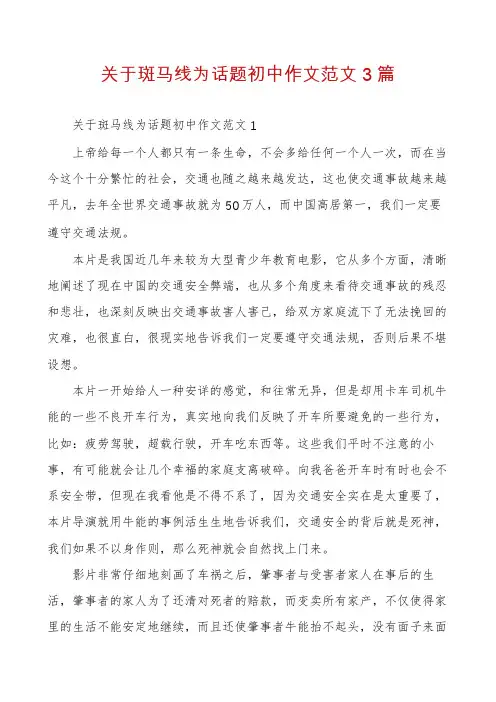 关于斑马线为话题初中作文范文3篇