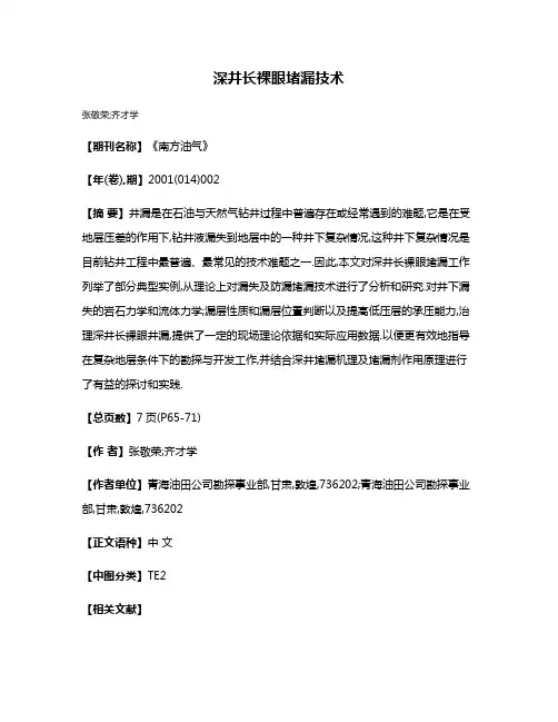 深井长裸眼堵漏技术