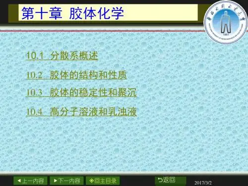 物理化学(王海荣主编)第十章 胶体化学