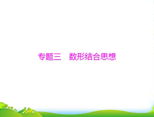 中考数学复习 第四部分 专题三 数形结合思想课件