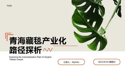 2023年青海藏毯步入产业化探析模板
