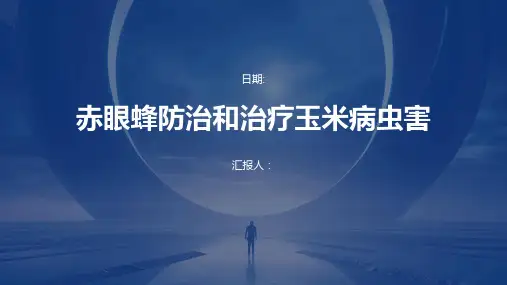 赤眼蜂防治和治疗玉米病虫害