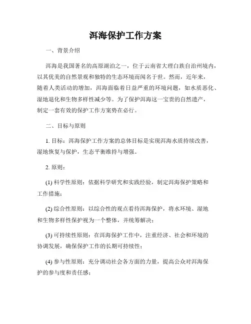 洱海保护工作方案