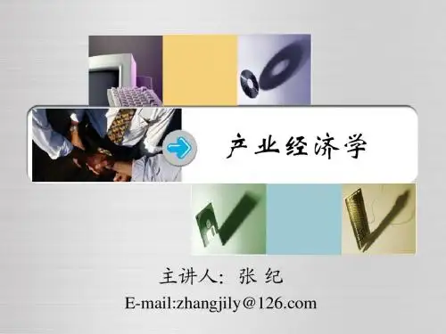 第2章 产业组织理论概述