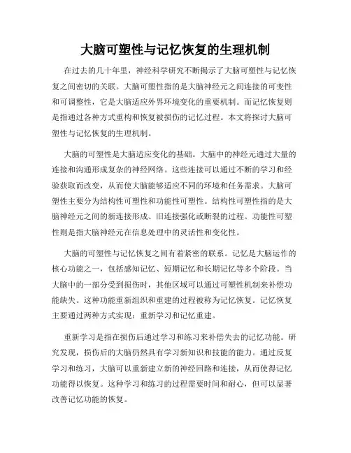 大脑可塑性与记忆恢复的生理机制