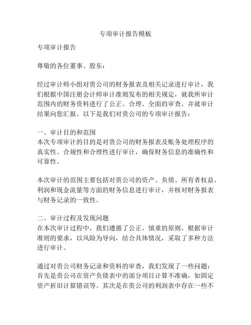 专项审计报告模板