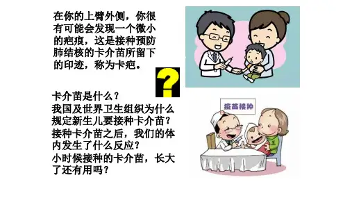 4.1免疫系统的组成和功能课件【新教材】新人教版(2020)高中生物选择性必修一